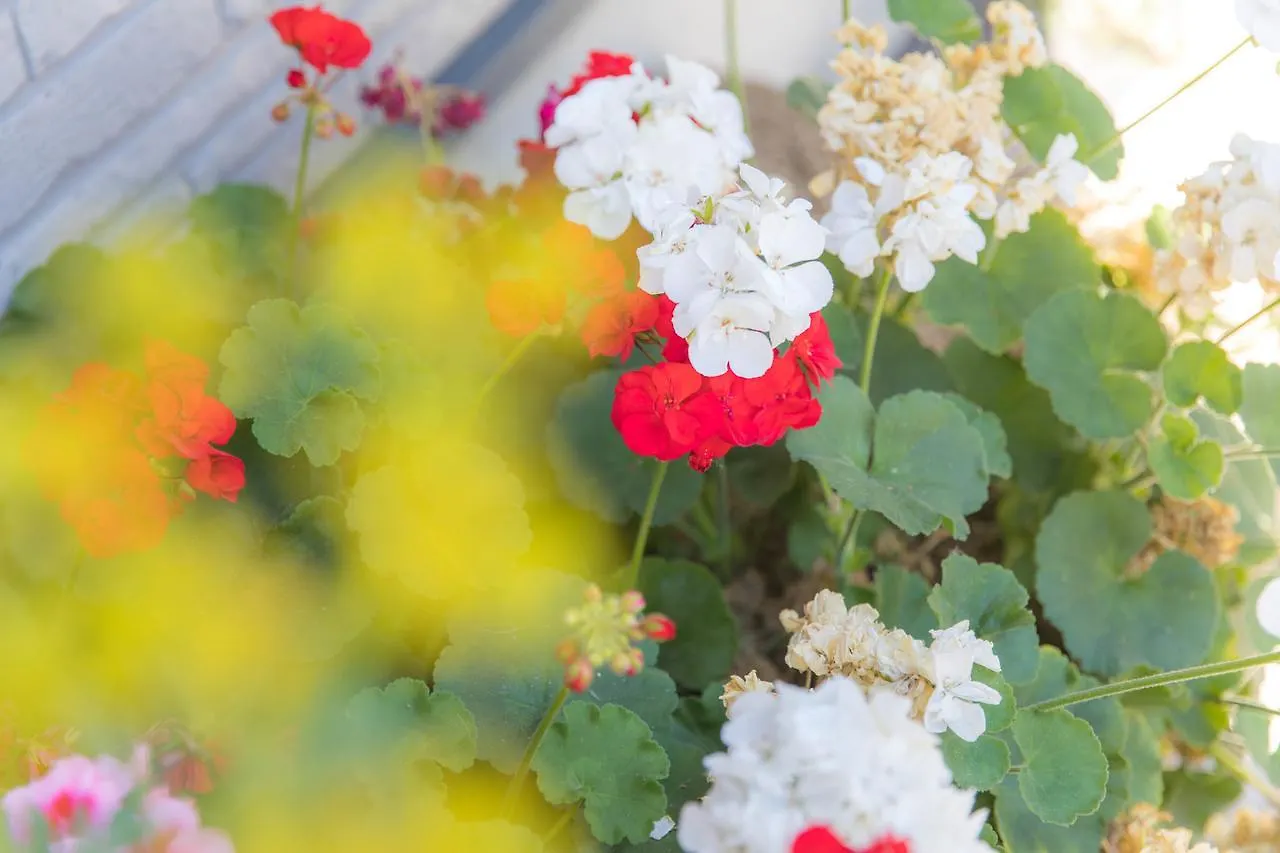 Holiday home Tokyo Aoto House Villa